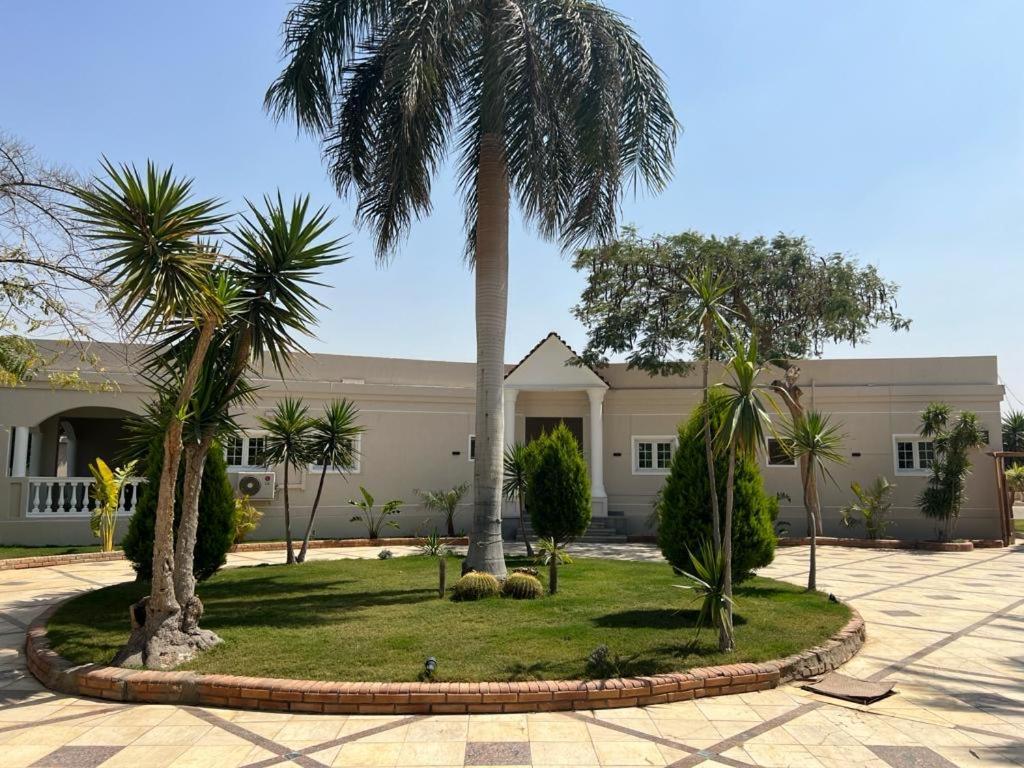 La Rosa Cairo