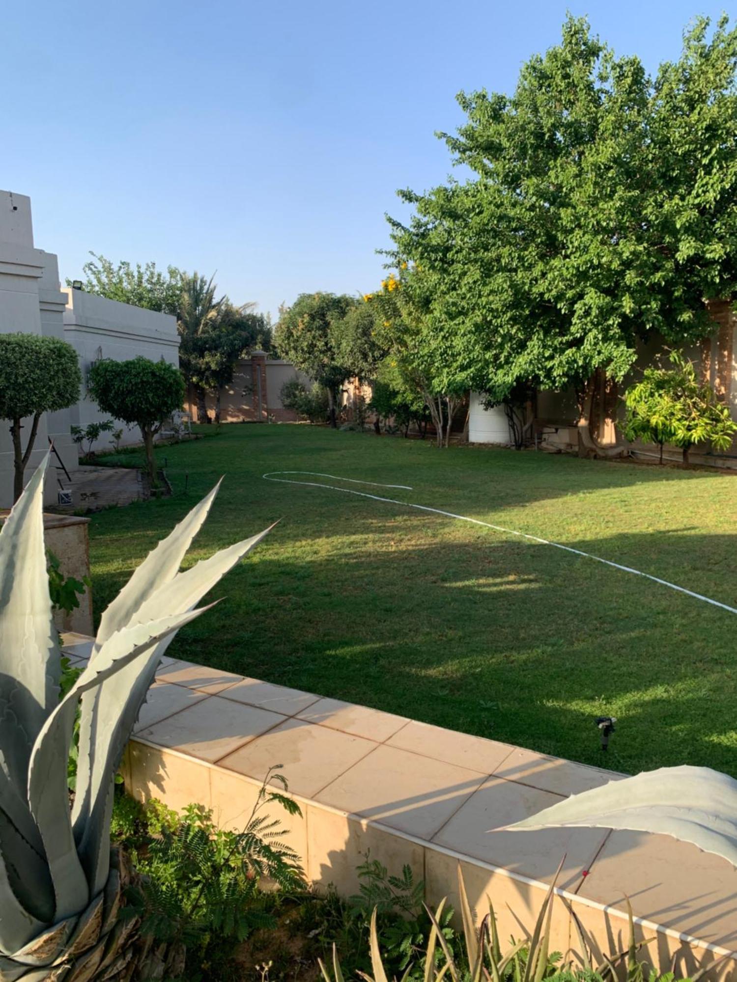 La Rosa Villa Cairo
