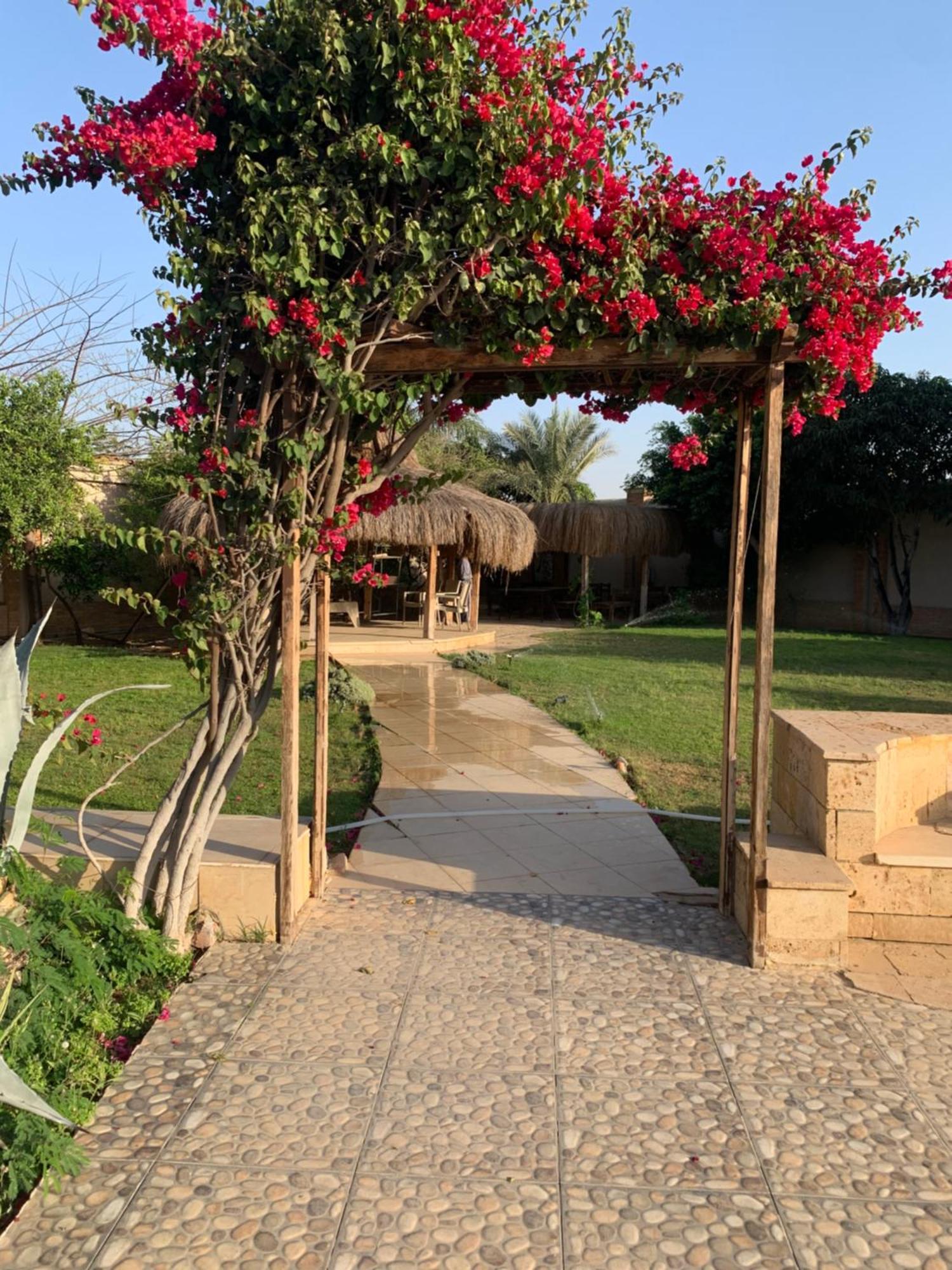 La Rosa Villa